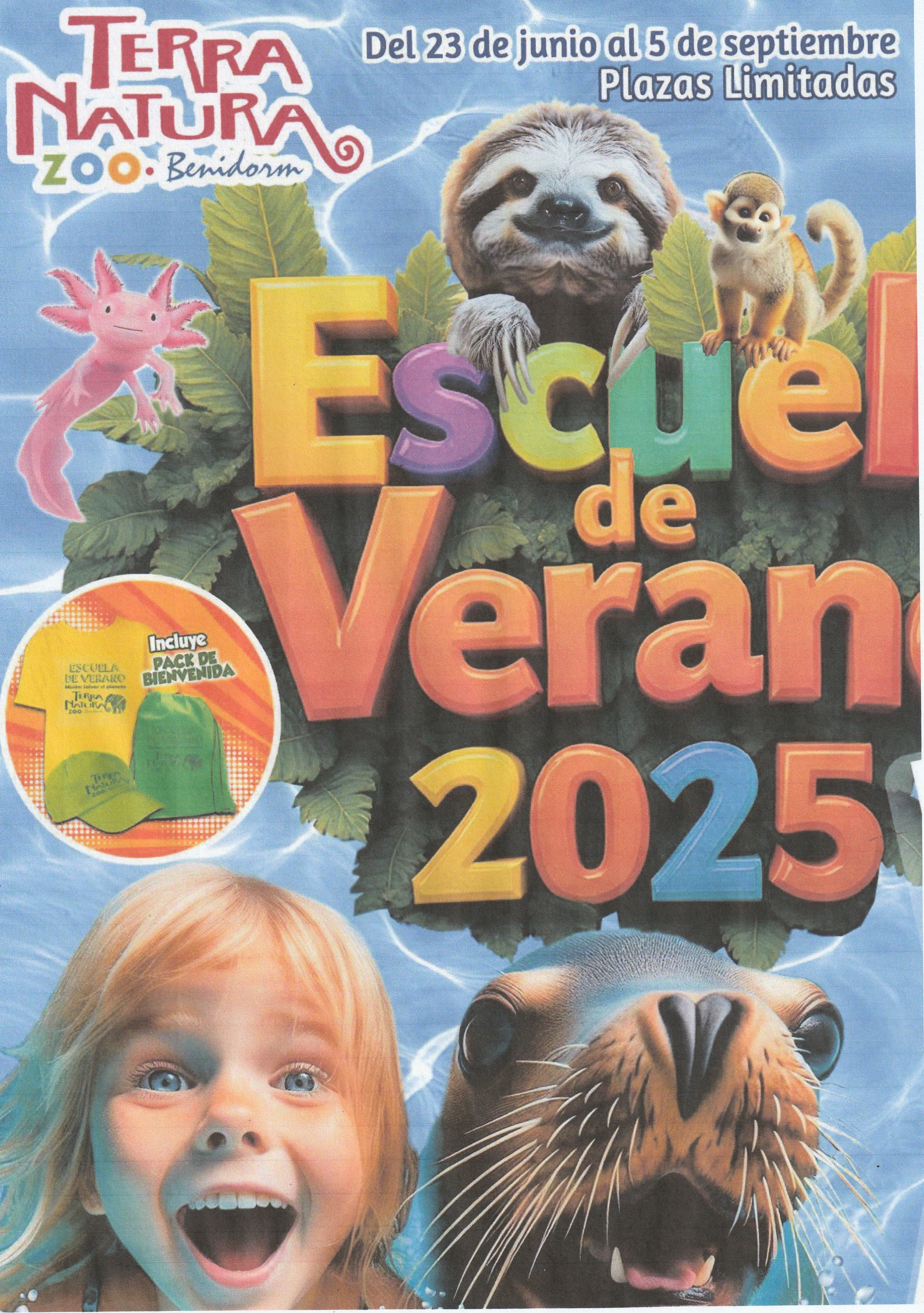 Escuela de Vernano Escuela de verano